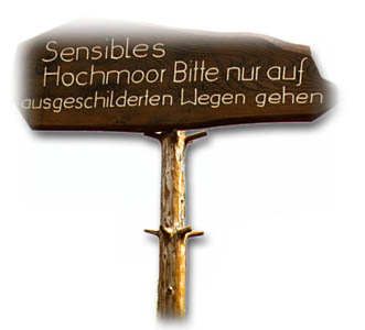 Wanderung durchs Hochmoor