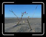 119_1914 * Amrum Strandgalerie * 2272 x 1704 * (1.91MB)