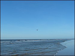 Moewenschiet